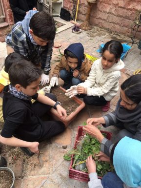 گزارش کارگاه باغبانی کودکان